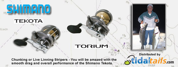 Shimano Reels